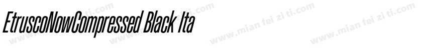 EtruscoNowCompressed Black Italic字体转换